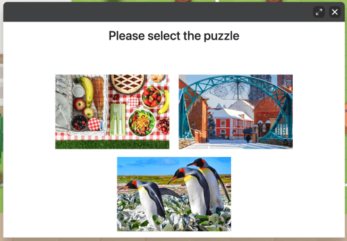 App - Puzzle - Select Puzzle
