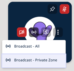 Broadcast - Private Zone