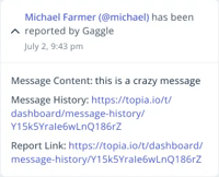 Gaggle Reports