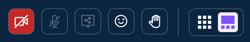 Gallery Mode - Toolbar - Student - Participant