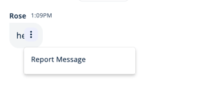 Report Message