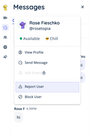Report User - Chat