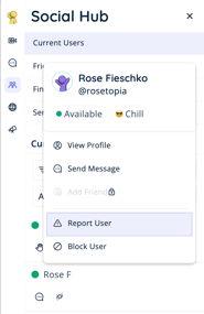 Report User - Current Users