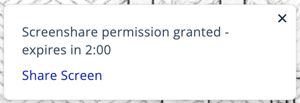 Toast Notification - Screenshare Request Approved