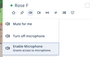 Users Menu - Current Users tab - Microphone Access - Enable