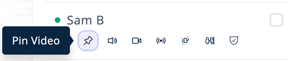 Users Menu - Current Users tab - Pin Video - Another User