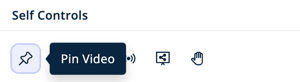 Users Menu - Overview tab - Self Controls - Pin Video