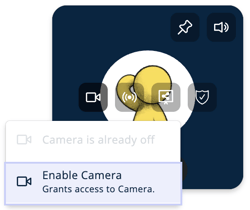 VIdeo Tile - Camera Access - Enable