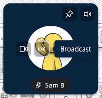 Video Tile - Broadcast Another User