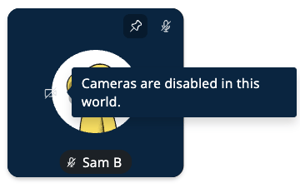 Video Tile - Camera Access off