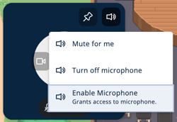 Video Tile - Microphone Access - Enable