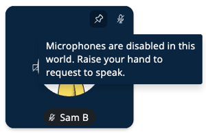 Video Tile - Microphone Access off