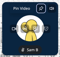 Video Tile - Pin Video - Another User