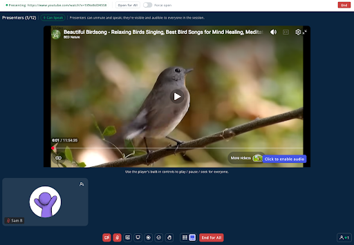 video example